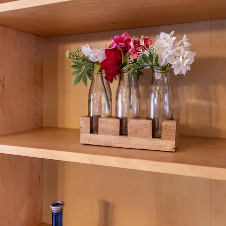 Appartement Im Harz *